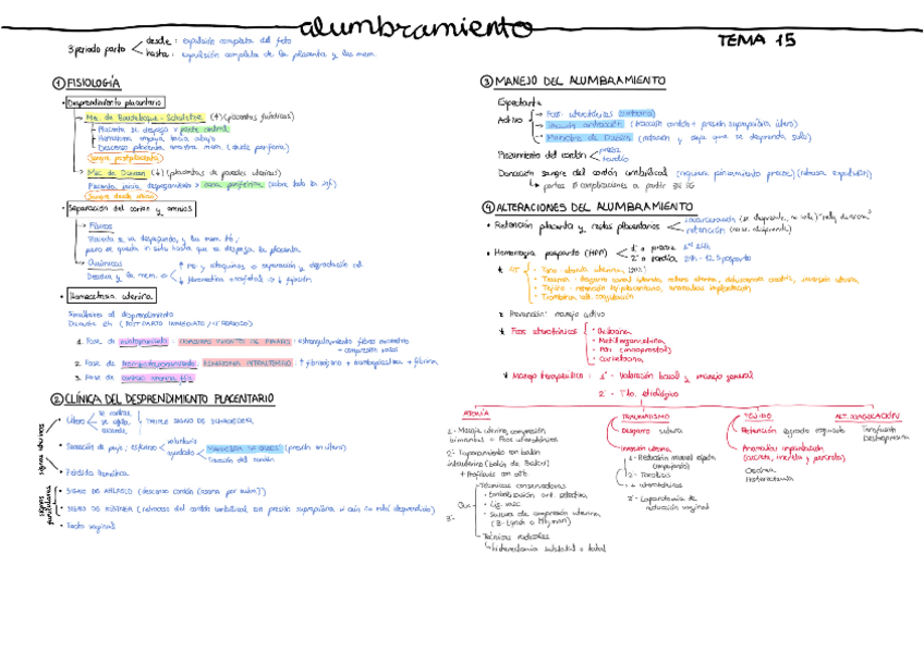 Miniatura del documento Tema-15.-Alumbramiento.pdf