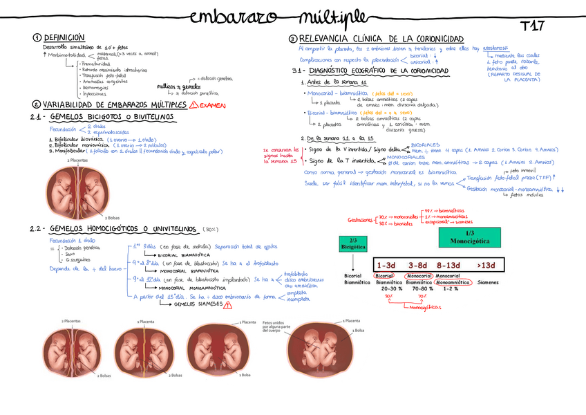 Miniatura del documento Tema-17.-pdf.pdf