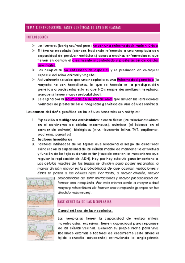 Miniatura del documento TEMA-1-ONCOLOGIA.pdf