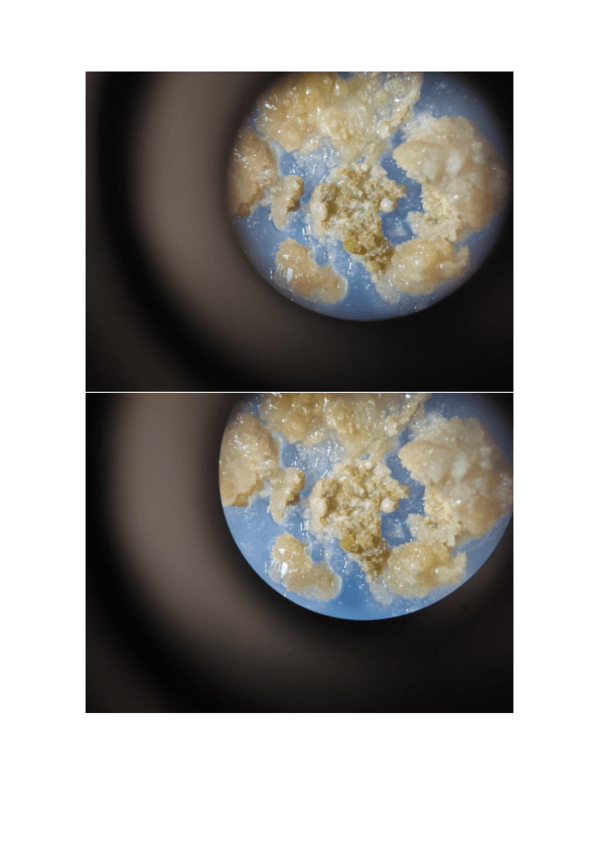 Miniatura del documento fotos-de-practicas.pdf