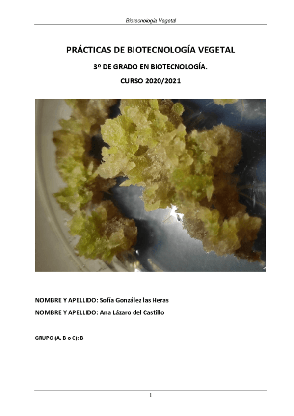 Miniatura del documento Cuaderno-practicas-BiotecVeg-FINAL.pdf