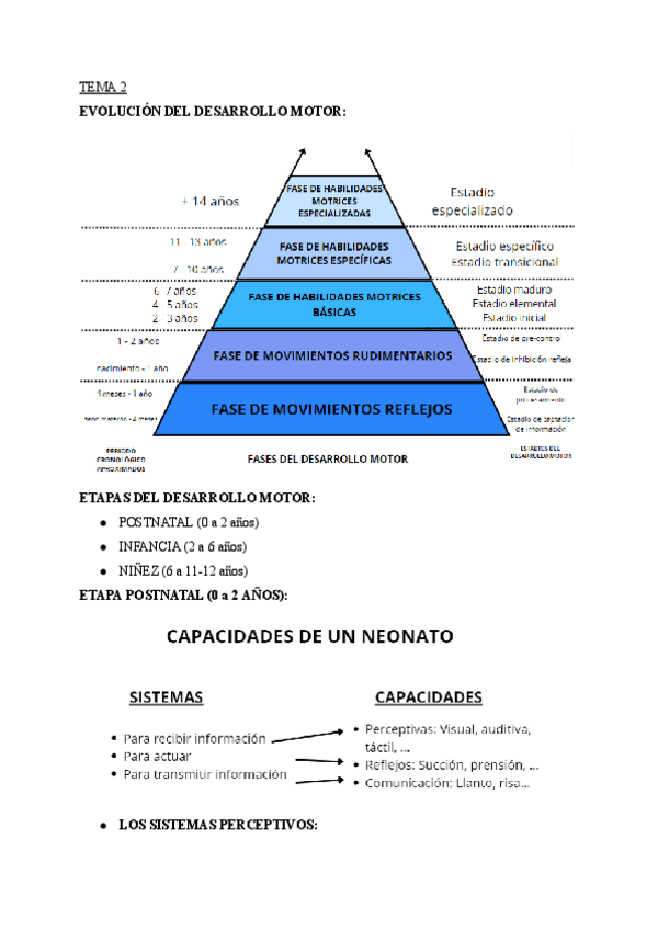 Miniatura del documento TEMA-2.pdf