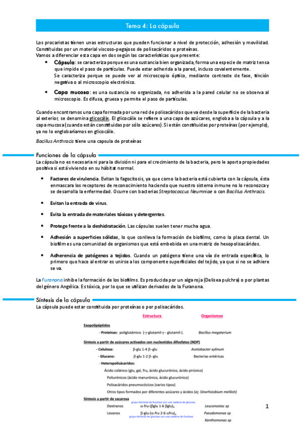 Miniatura del documento Tema-4.pdf