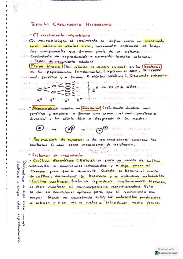 Miniatura del documento Tema-4.pdf