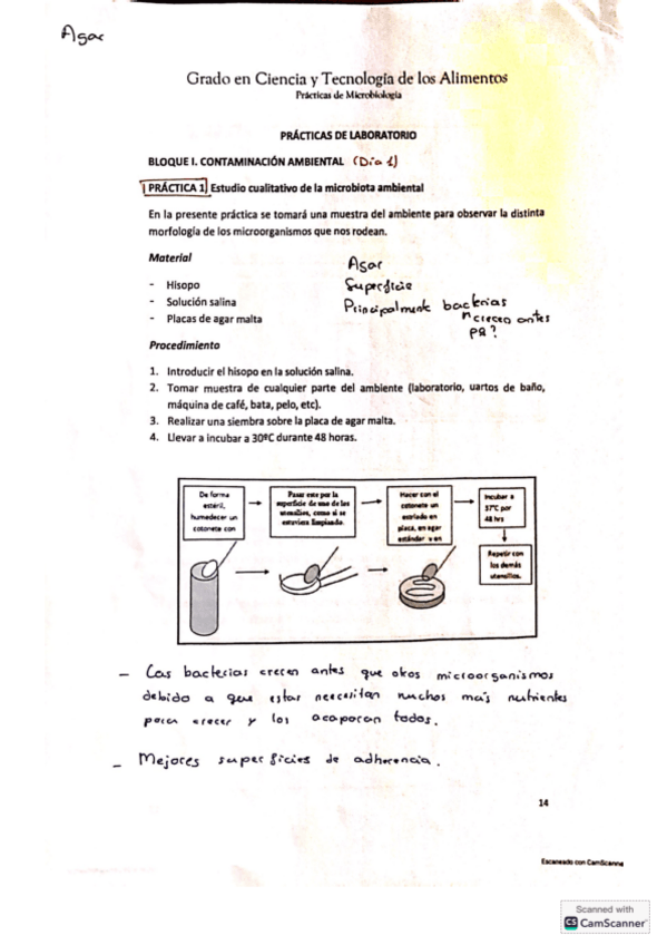 Miniatura del documento Apuntes-practicas.pdf