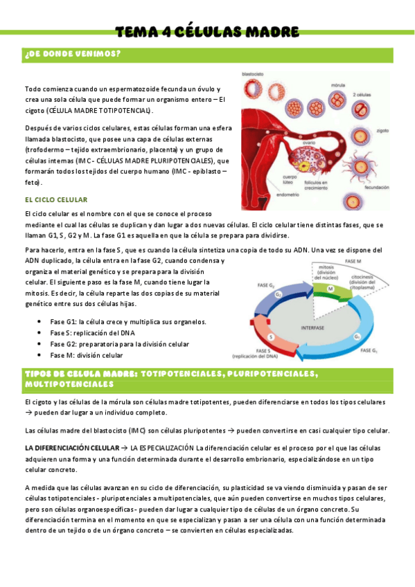 Miniatura del documento HISTOLOGIA-T4.pdf