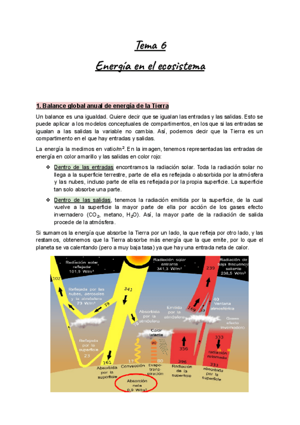 Miniatura del documento Apuntes-PIM-Ecologia-Tema-6-Energia-en-el-ecosistema.pdf