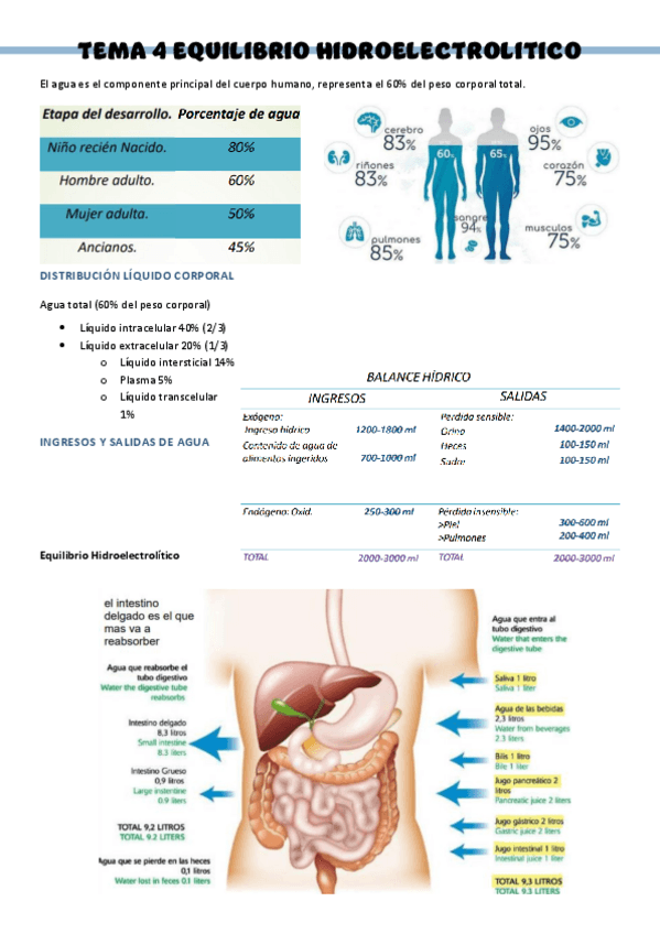 Miniatura del documento PATOLOGIA-QUIRURGICA-GENERAL-T4.pdf