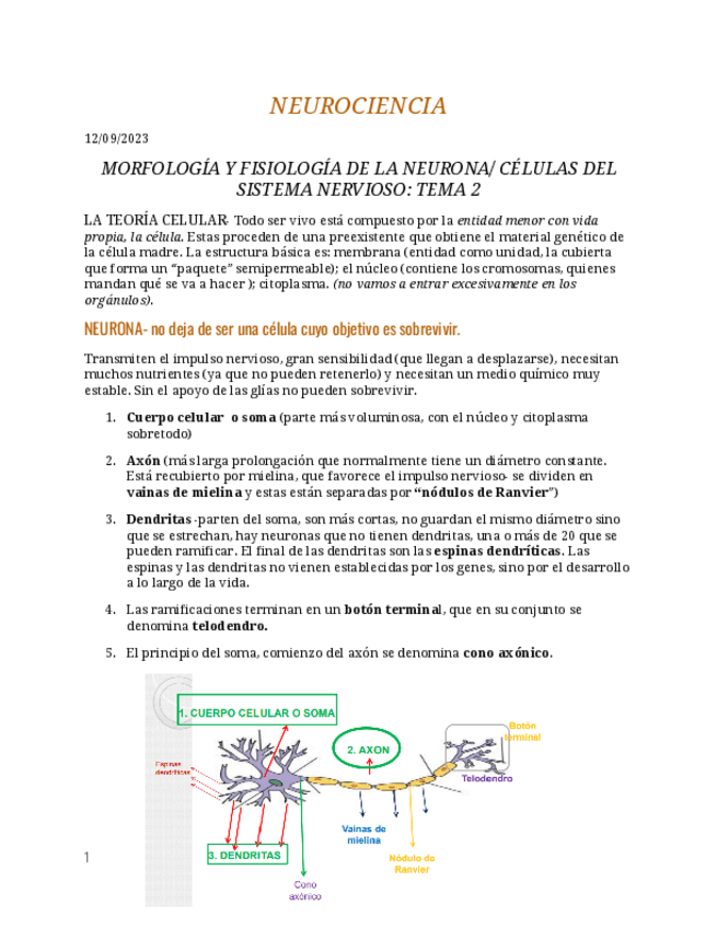 Miniatura del documento NEUROCIENCIA-completo- sobresaliente.pdf