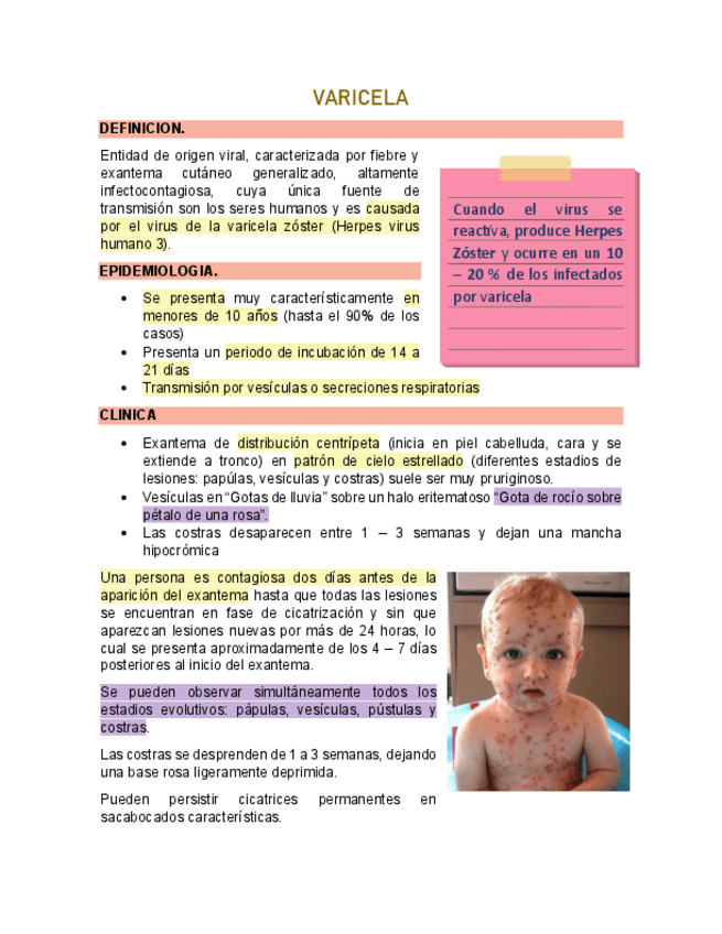 Miniatura del documento Enfermedades-Exantematicas-2-Varicela-exantema-subito-escarlatina.pdf