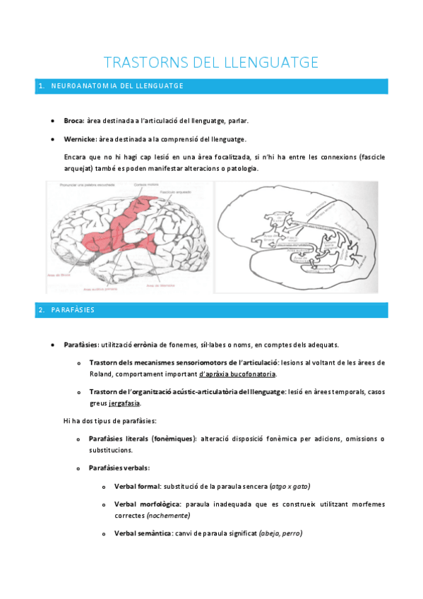 Miniatura del documento 4.-Trastorns-del-llenguatge.pdf