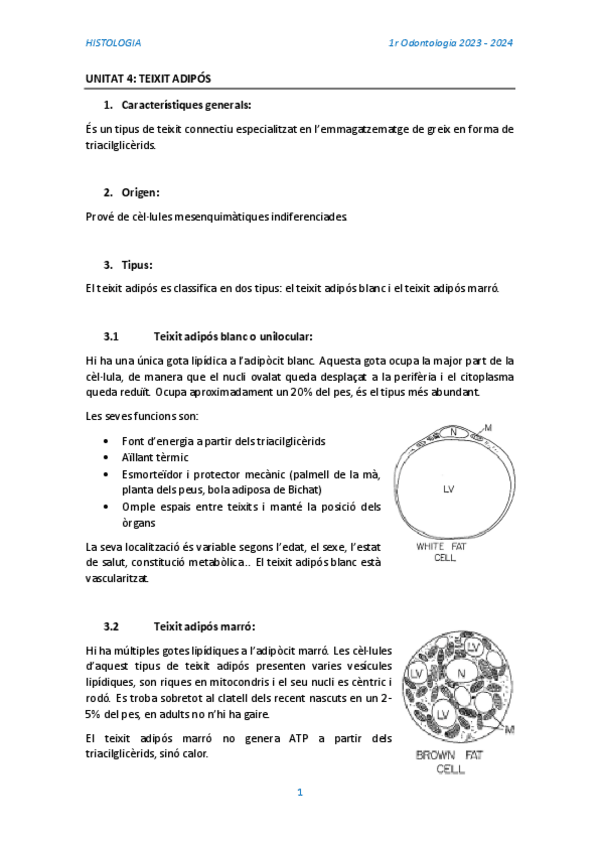 Miniatura del documento TEMA-4-Teixit-adipos-meu.pdf