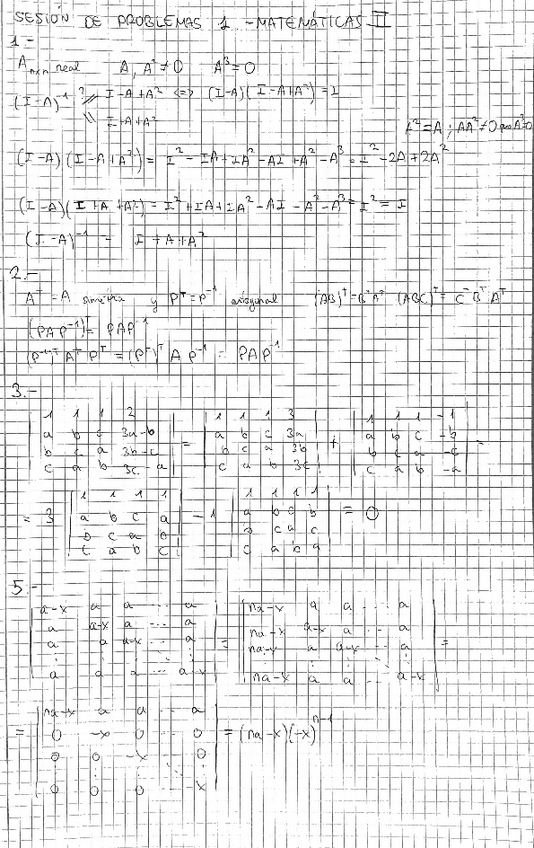 Miniatura del documento Solucion-Problemas-Sesion-1-Matematicas-II.pdf