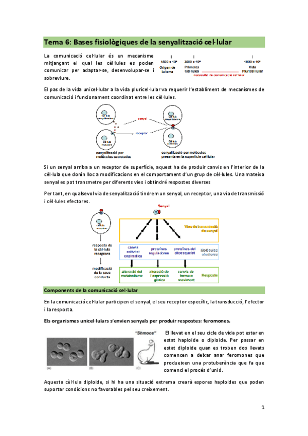 Miniatura del documento Tema-6-bases-fisiologiques-de-la-senyalitzacio-cat.pdf