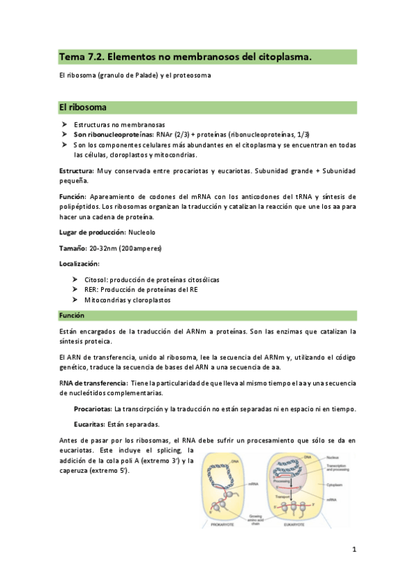 Miniatura del documento Tema-7.2-elementos-no-membranosos-cast.pdf