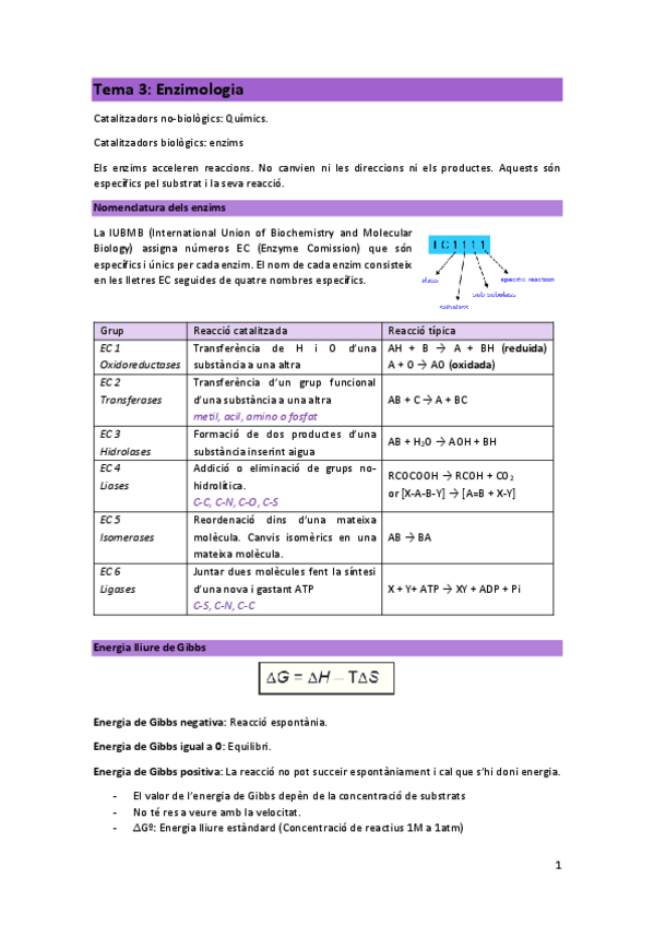 Miniatura del documento Tema-3-Enzimologia.pdf