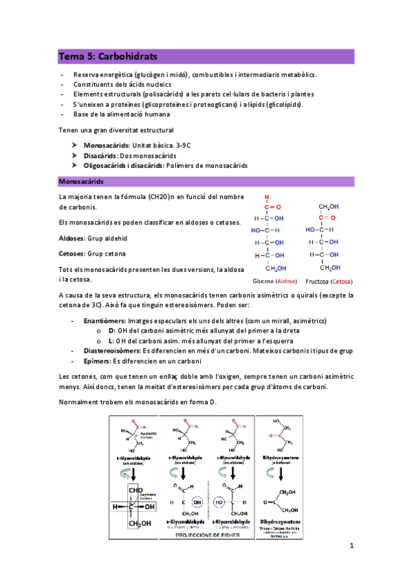 Miniatura del documento Tema-5-Carbohidrats.pdf