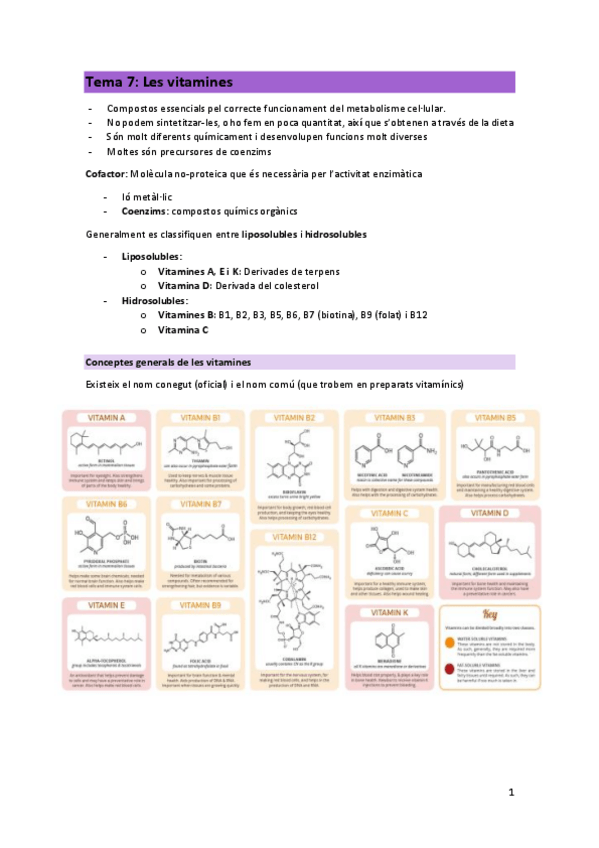 Miniatura del documento Tema-7-Vitamines.pdf