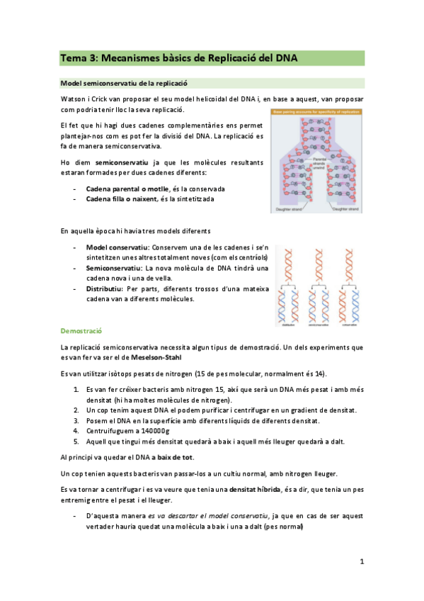 Miniatura del documento TEMA-3-mecanismes-basics-de-replicacio.pdf