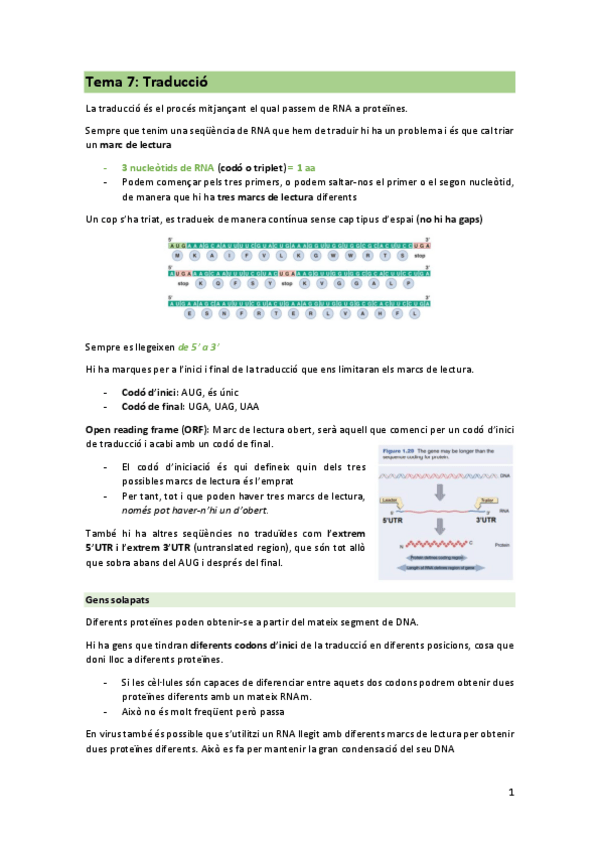 Miniatura del documento TEMA-7-Traduccio.pdf