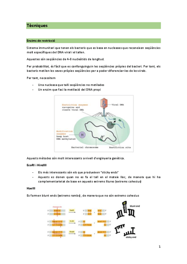 Miniatura del documento Seminari-2.pdf