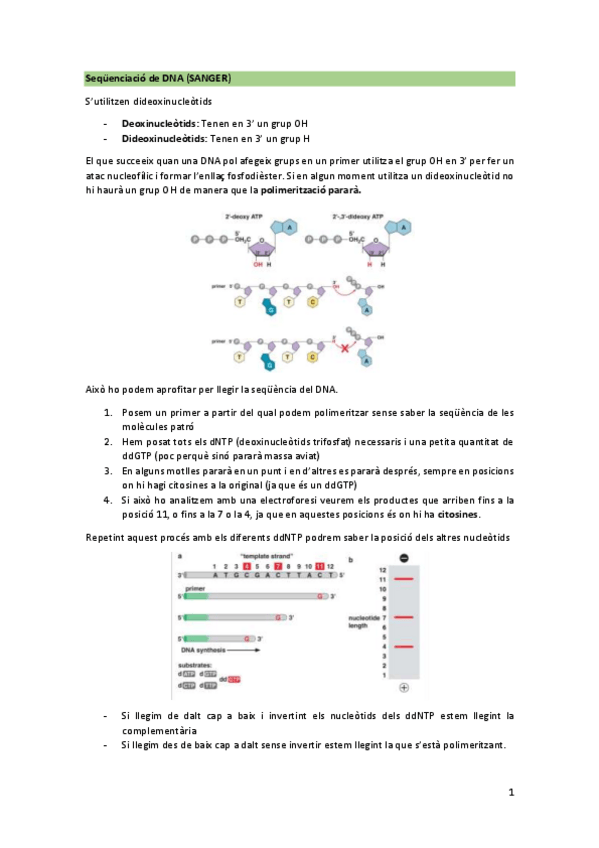 Miniatura del documento Tecniques-2.pdf