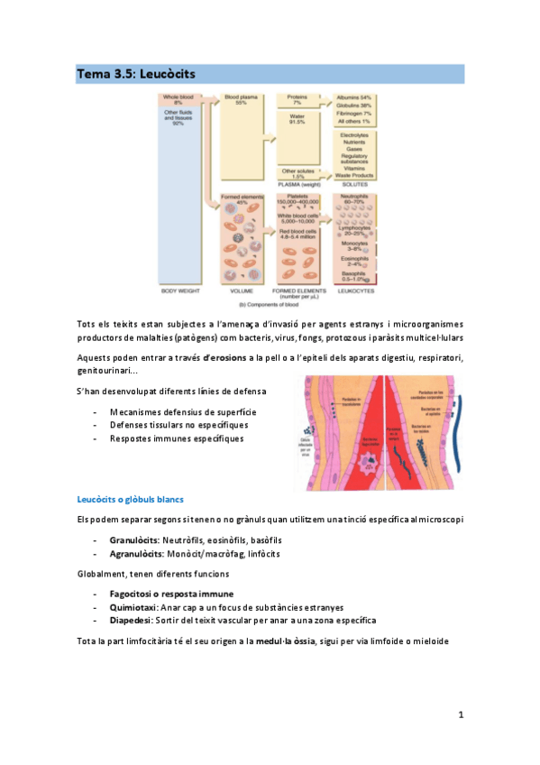 Miniatura del documento TEMA-3.5-FIS.pdf