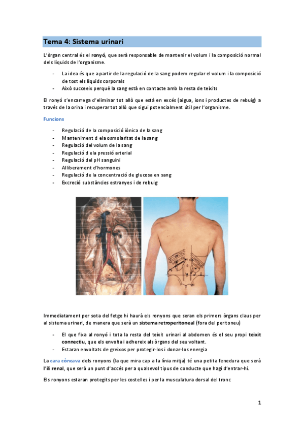 Miniatura del documento TEMA-4-FIS.pdf