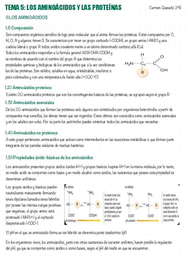 Miniatura del documento 05-AMINOACIDOS-Y-PROTEINAS.pdf
