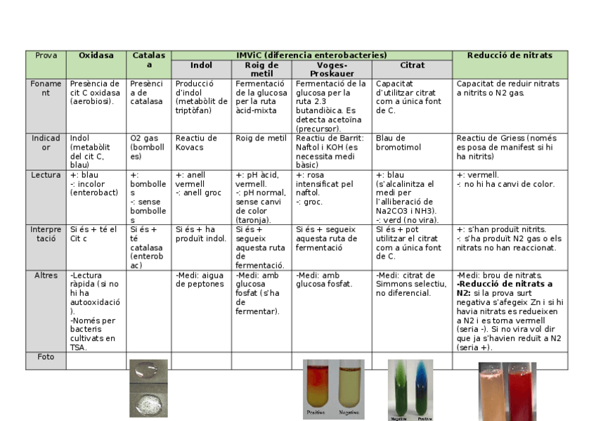 Miniatura del documento micro proves bioq.docx