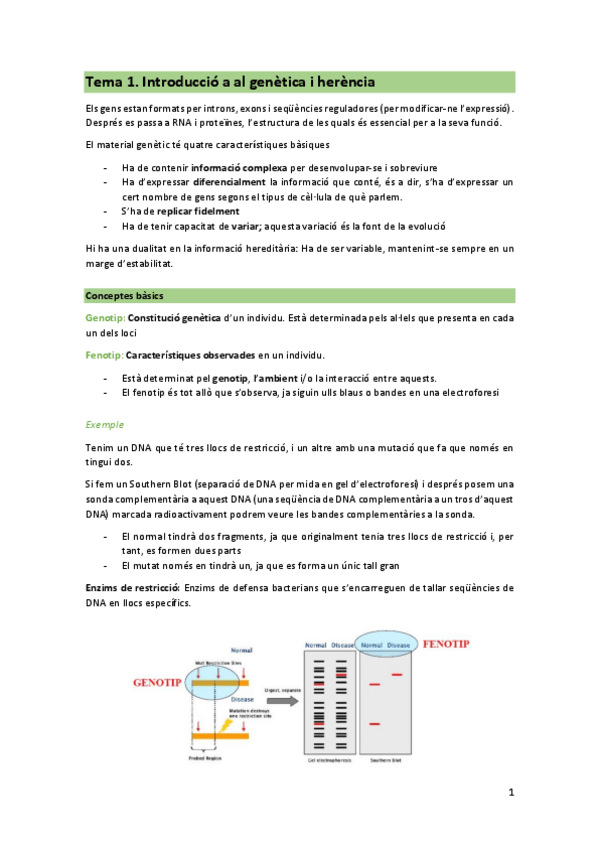 Miniatura del documento T1-GEN.pdf