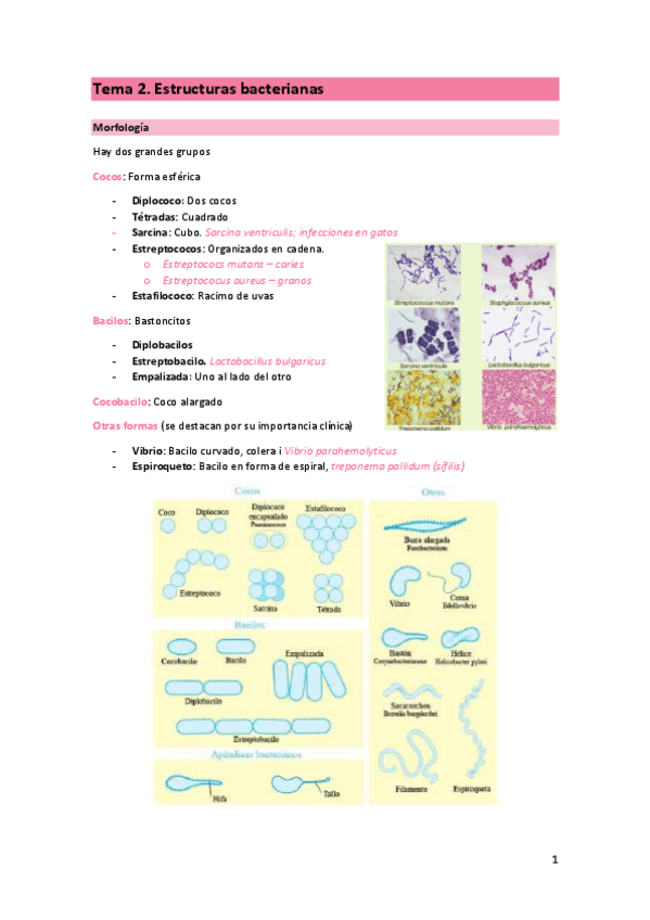 Miniatura del documento T2-MIC.pdf