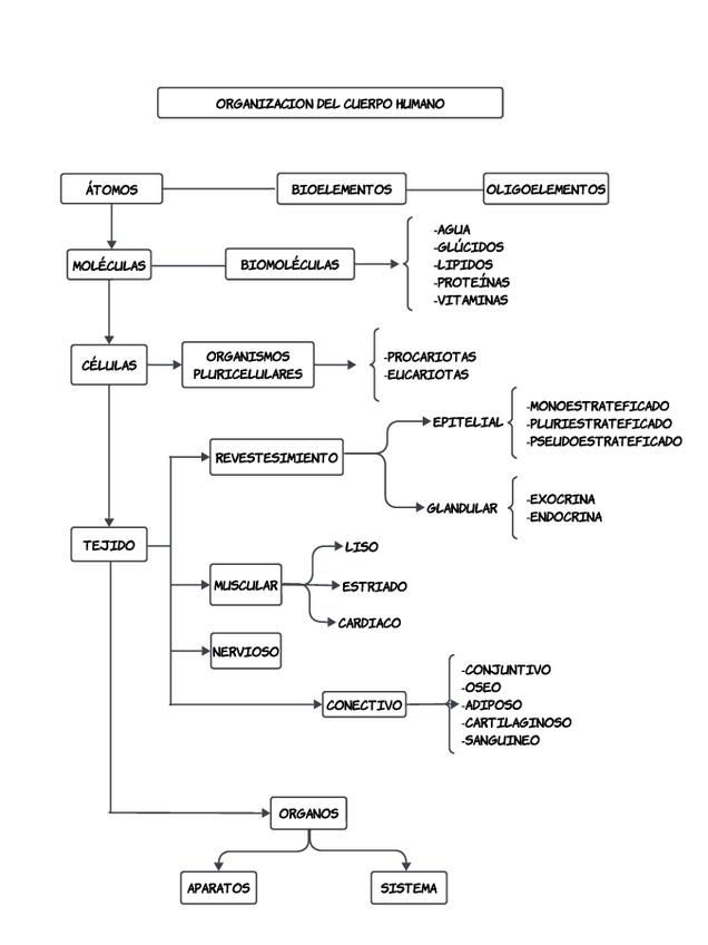 Miniatura del documento mapa-conceptual-df.pdf