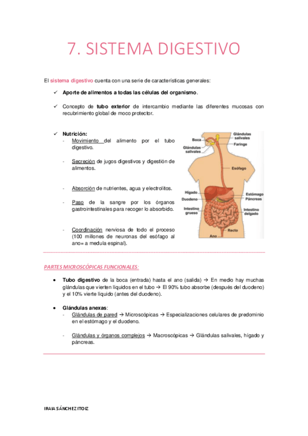 Miniatura del documento TEMA-7-SISTEMA-DIGESTIVO.pdf