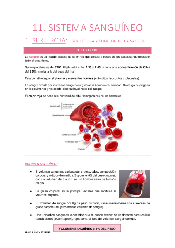 Miniatura del documento TEMA-11-SISTEMA-SANGUINEO.pdf