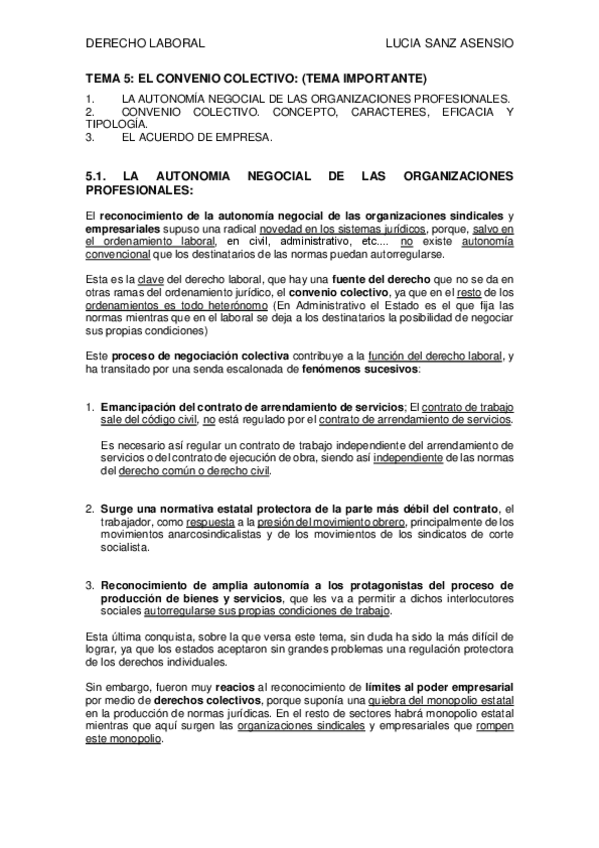 Miniatura del documento TEMA-5-LABORAL.-LUCIA-SANZ-ASENSIO.pdf