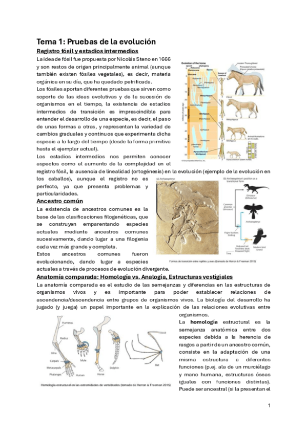 Miniatura del documento BIOEVOTemarioCompleto.pdf