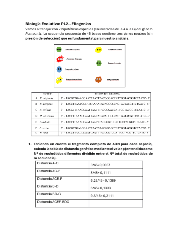 Miniatura del documento PL2Tarea.pdf