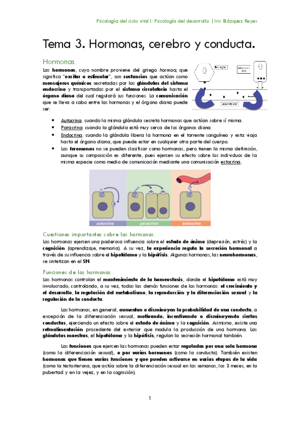 Miniatura del documento TEMA 3. HORMONAS- CEREBRO Y CONDUCTA.pdf