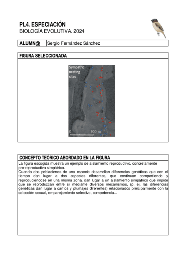Miniatura del documento PL4Tarea.pdf