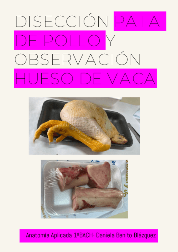 Miniatura del documento Informe-anatomia.pdf