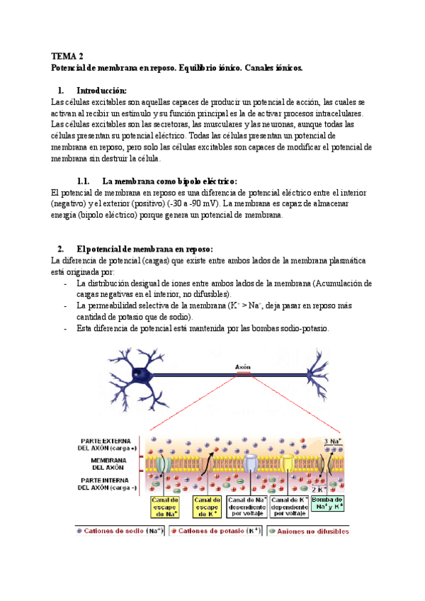Miniatura del documento TEMA-2.pdf