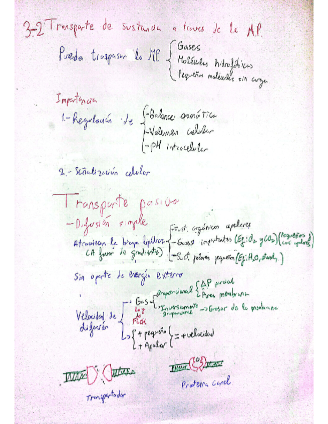 Miniatura del documento Tema-3-2.-Transporte.pdf