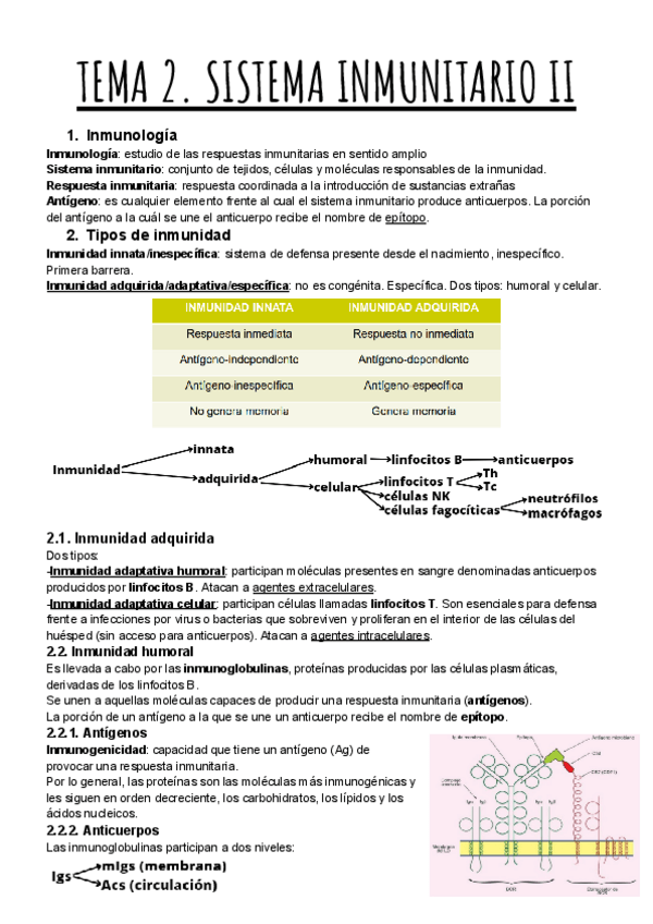 Miniatura del documento TEMA-2.-SISTEMA-INMUNITARIO-II.pdf