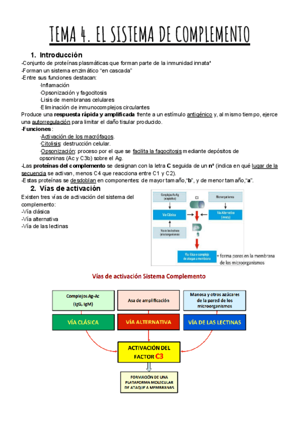 Miniatura del documento TEMA-4C.-EL-SISTEMA-DE-COMPLEMENTO.pdf