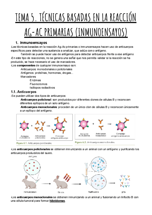 Miniatura del documento TEMA-5.-TECNICAS-BASADAS-EN-LA-REACCION-AG-AC-PRIMARIAS-INMUNOENSAYOS.pdf