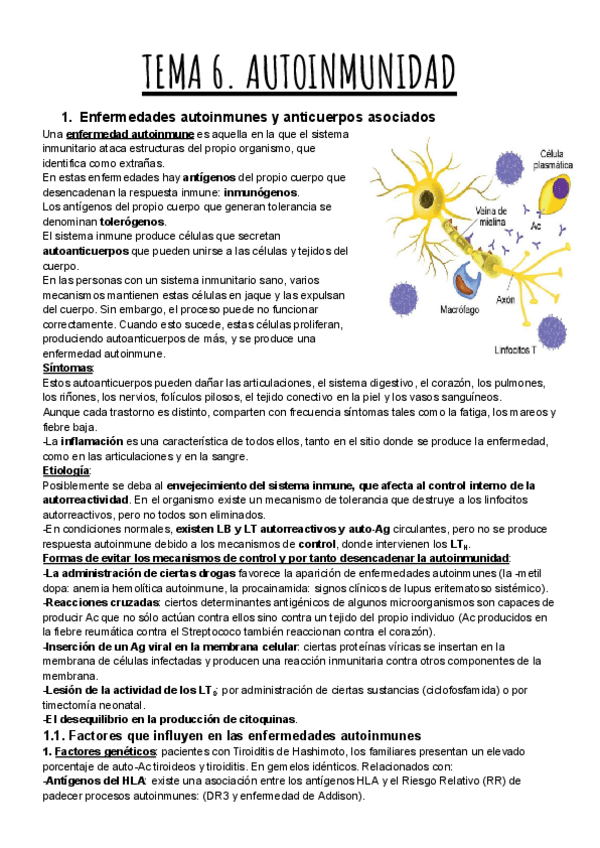 Miniatura del documento TEMA-6.-AUTOINMUNIDAD.pdf