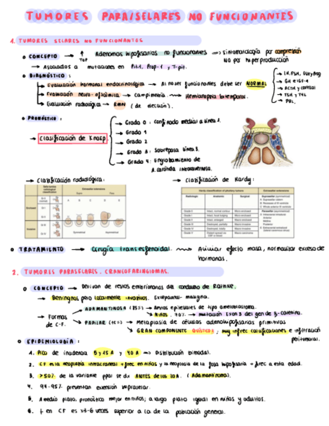 Miniatura del documento Endocrino-I.pdf