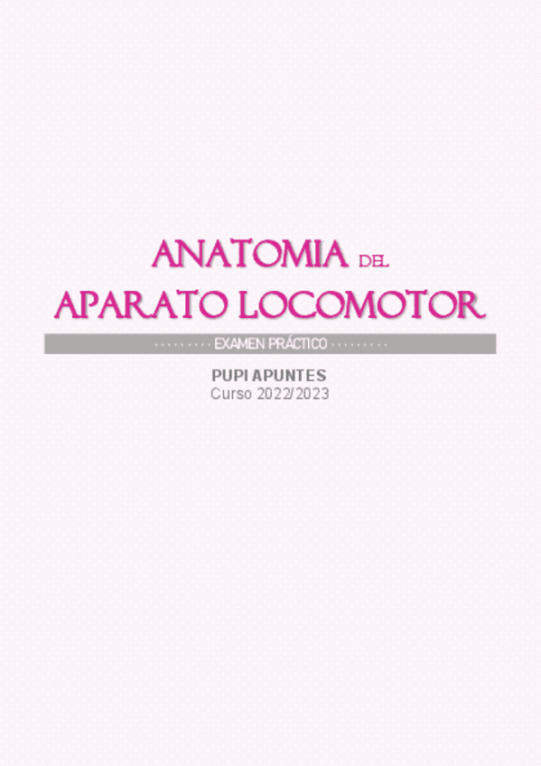 Miniatura del documento FLASHCARDS-EXAMEN-PRACTICO-ANATOMIA-FINAL.pdf