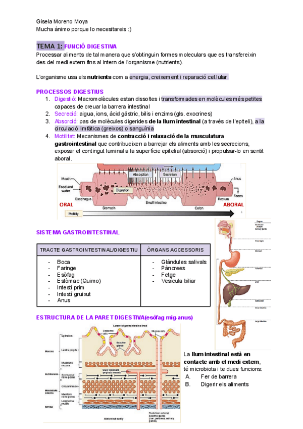 Miniatura del documento Bloc-IV.S.DIGESTIU.pdf